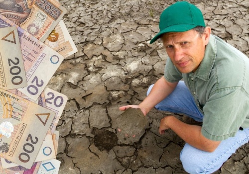 Rewolucja w odszkodowaniach dla rolników. Gminne komisje przejdą do historii?