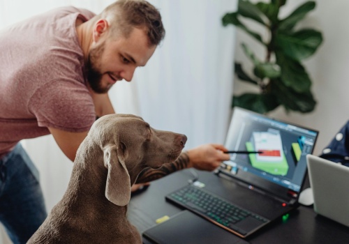 Wpuszczanie psów do firmy bez przygotowania to proszenie się o kłopoty prawne