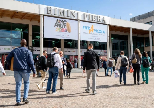 Macfrut 2026 - dlaczego warto tam być?