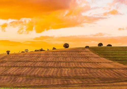 Nowa spółka oligarchy połyka konkurencję. Właśnie powiększyła areał do 190 tysięcy hektarów