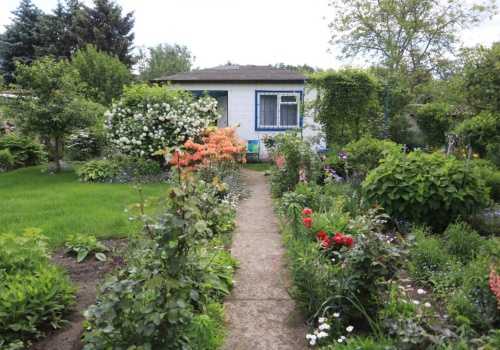 Kosmiczne ceny w ofertach ogródków działkowych. Nie zawsze Warszawa najdroższa