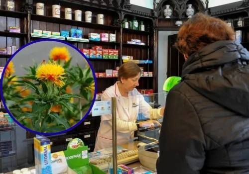 Wcale nie oliwa z oliwek. Jest lepszy i tańszy olej dla seniorów