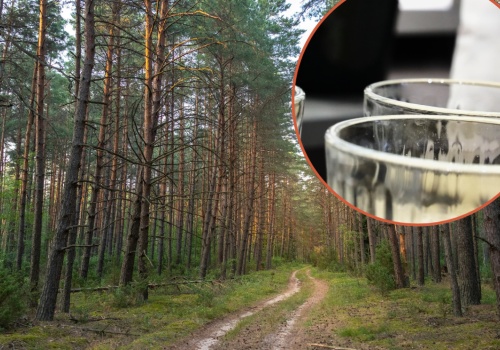 Rośnie wszędzie i jest za darmo. Działa lepiej niż modne detoksy