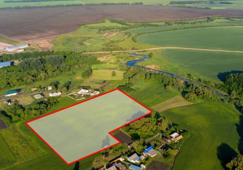 Ceny ziemi rolnej na początku 2026: Wielkopolska liderem, Podlaskie zaskakuje