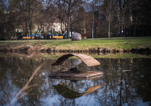 Powrót tratw dla ptaków wodnych. Pierwsi lokatorzy już się wprowadzili