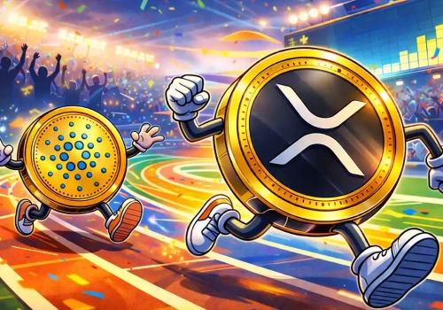 Cardano zamieniło 3900 USD w 310 000 USD: Czy XRP może być jeszcze lepsze?