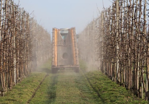 Sadownicy: zasady IP 2026 bez zmian