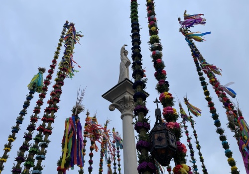 O włos od rekordu. Palmy wzniosły się nad lipnickim rynkiem