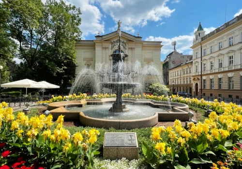 Zieleń pod lupą. Tańsze nasadzenia w Bielsku-Białej?