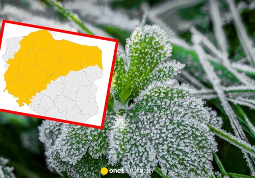 W nocy temperatura spadnie do -5 st. C. IMGW wydaje alerty pierwszego stopnia