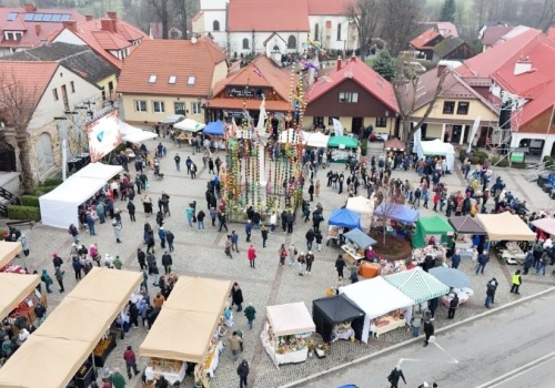 Lipnica Murowana: Rekordowa blisko 36-metrowa palma