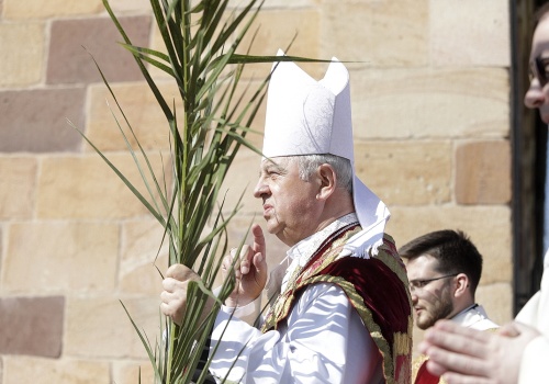Biskup Piotrowski: Niedziela Palmowa jest zapowiedzią lepszego czasu dla człowieka