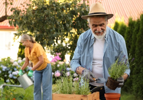 Nawet 10 tys. zł nie tylko za opiekę nad zwierzętami. Wiosną pilnie poszukiwani pracownicy na wsi