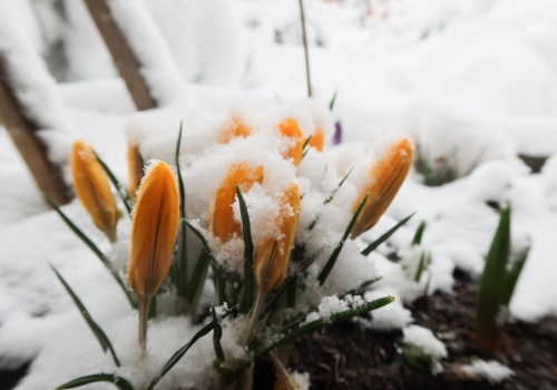 W najbliższych dniach wahania temperatury. IMGW ostrzega przed przymrozkami