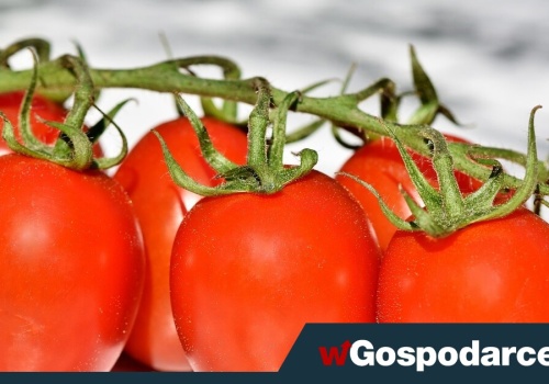 Nowalijki horrendalnie drogie!