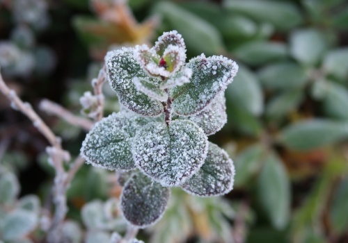 Wahania temperatur, a nawet przymrozki. IMGW wydał ostrzeżenia