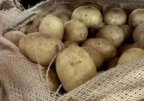 Ziemniaki z Grecji wracają na polski rynek. Rolnicy pod presją cenową