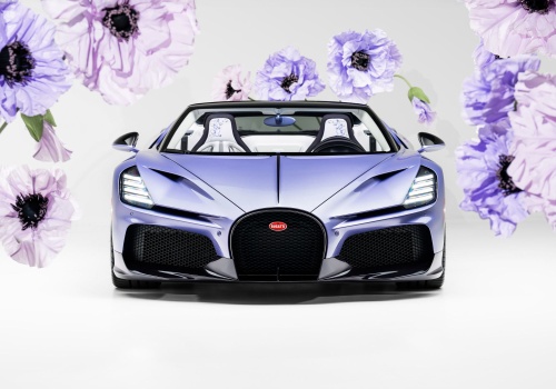 Fioletowy potwór w kwiatki. Bugatti W16 Mistral „Caroline” udowadnia, że miliarderom wolno więcej