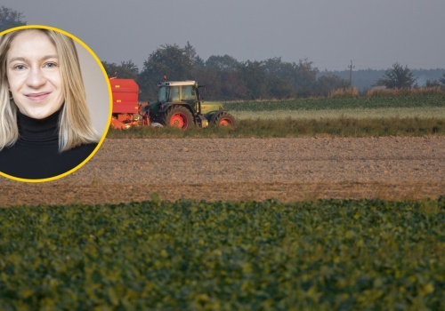 Tak nie zbudujemy bezpieczeństwa żywnościowego na lata. Jaka nowa wizja dla systemu żywnościowego Polski?