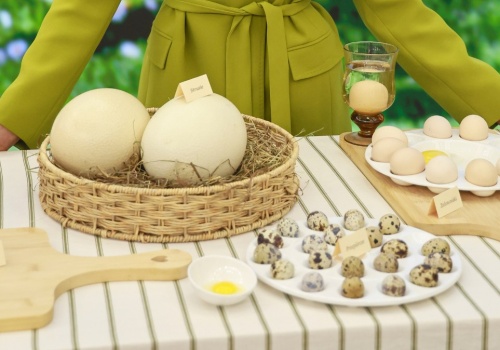 Fakty i mity o jajkach według Natalii Palmowskiej-Aleksiejuk