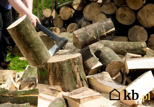 To drewno daje najwięcej ciepła. Większość wybiera gorsze