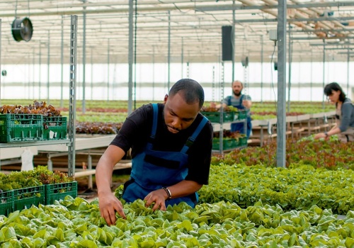 W Polsce rośnie proceder niewolnictwa imigrantów