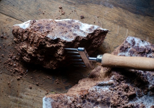 Czekolada winduje ceny na święta. Kakao głównym winowajcą drożyzny