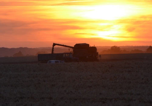 Koniec mandatów za hałas w żniwa i zapachy. Rolnicy zyskają nowe prawa