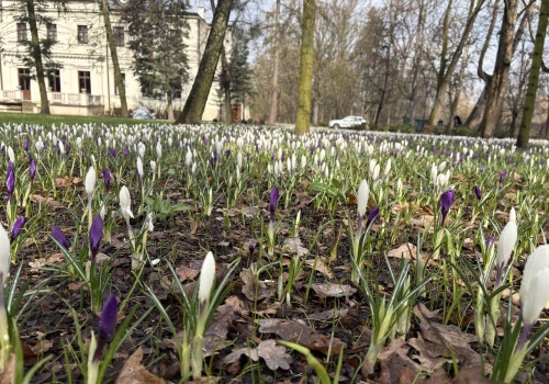 Uczestnicy 'Soboty w muzeum’ zwiedzali zrewitalizowany pałacowy park