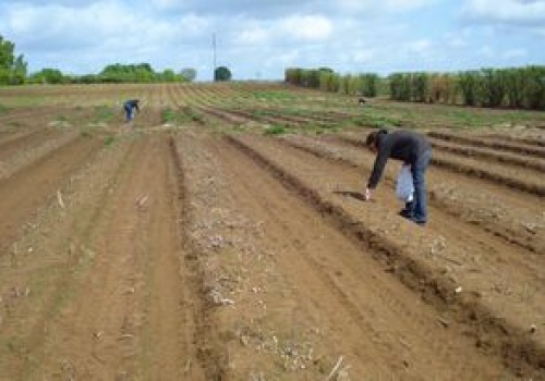 Płacą Polakom nawet 20 tys. zł miesięcznie. Nie mogą znaleźć chętnych