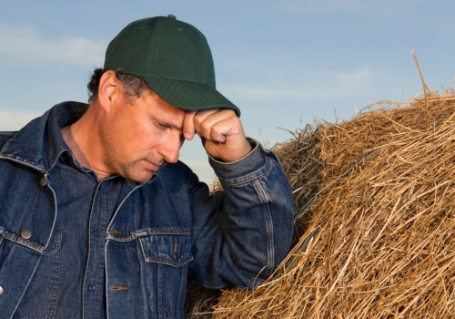 Kryzys uderza w rolników. „Tylko jedna uprawa pozwala osiągnąć niewielki zysk”