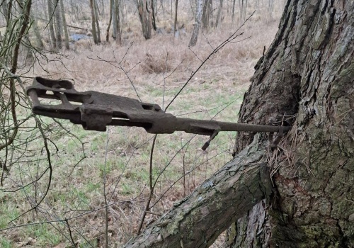 Znalazła na spacerze karabin z okresu IIWŚ wrośnięty w drzewo!
