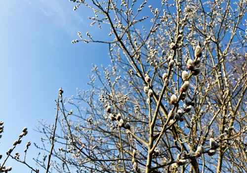 Pogoda na wtorek. Chłód i możliwe opady deszczu