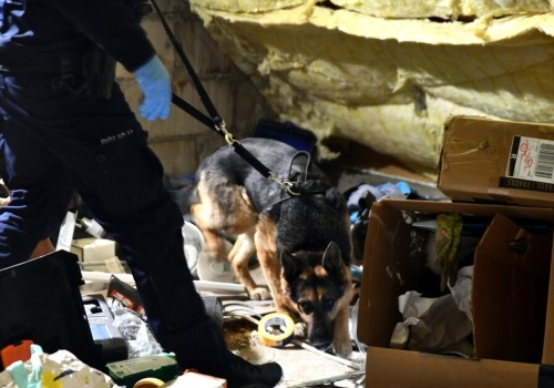 Policja rozbiła grupę z nielegalną bronią. Zabezpieczono arsenał