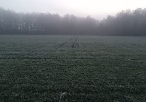 Przymrozki i deszcz. Pogoda na Święta Wielkanocne