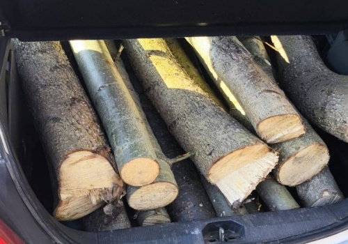 Udaremniona kradzież drewna w Koninie. Myślał, że nikt nie zauważy