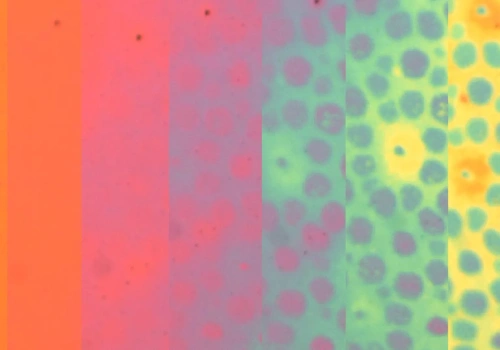 Wygląda jak trik z natury, ale to nowy pomysł na inteligentne materiały