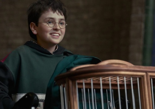 Ile nowy Harry Potter zarobi za pierwszy sezon? Kwota robi wrażenie!