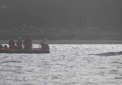 Poruszające wiadomości znad Bałtyku. Humbak znów utknął w zatoce