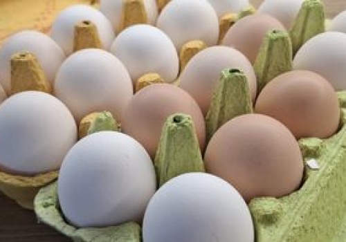 Wielu myśli, że takie jajka są gorsze. Sprawdzamy, co oznacza kolor skorupki