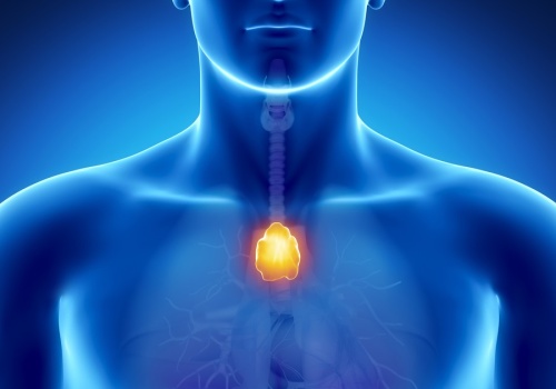 Ten narząd przez lata uważany był za nieistotny dla zdrowia. Nowe badanie sugeruje co innego