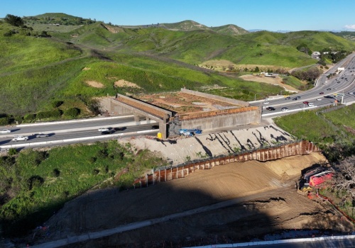 To największy most dla zwierząt. Powstaje nad 10-pasmową drogą