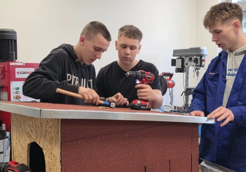 Uczniowie z Siedlec budują domki dla kotów. Nauka empatii i praktycznych umiejętności