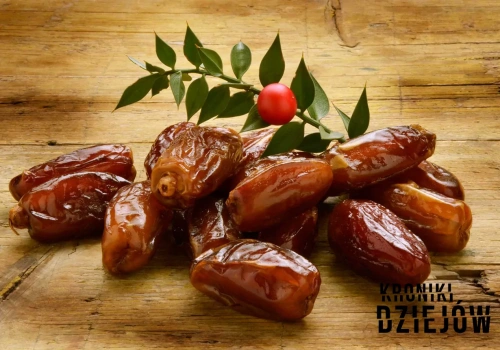 Te rośliny były na wagę złota. Bez nich starożytność nie istniała