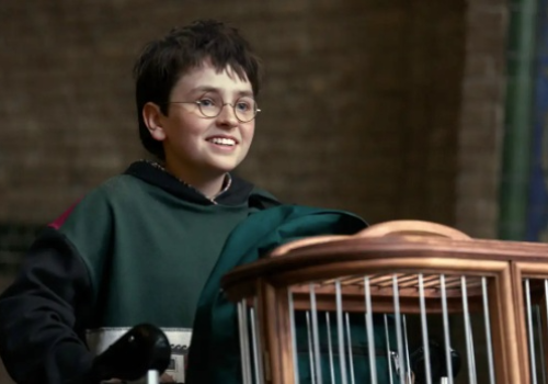 Nowa ekranizacja Harrego Pottera w formie serialu. 