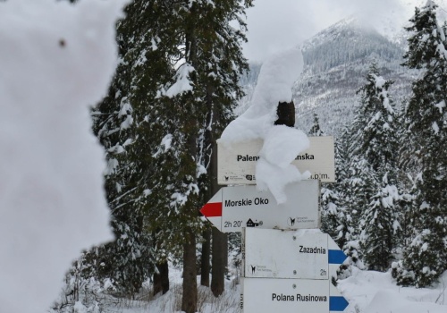 Pilny komunikat TPN. Tatry zamknięte dla turystów do odwołania