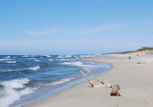 Niezidentyfikowany obiekt odnaleziono na plaży w Piaskach, niedaleko granicy z Federacją Rosyjską