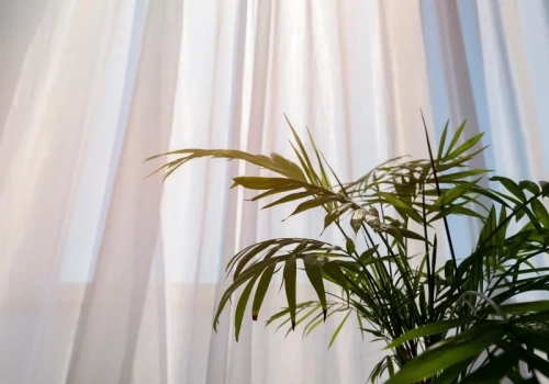 Masz tylko chwilę? Tym sposobem odświeżysz firanki bez obaw o zniszczenie tkaniny