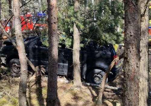 Kierowca uderzył w drzewo koło Ostrzy