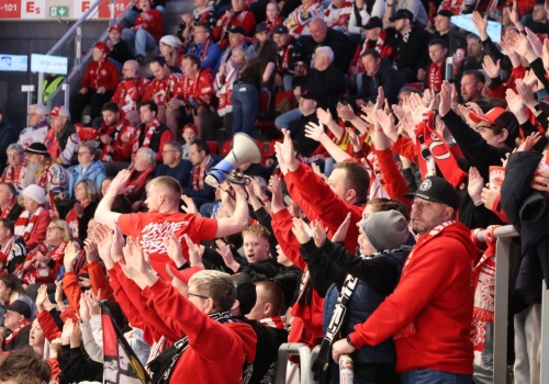 Stalownicy mają sponsora tytularnego! Polski producent melisy będzie przygotowywał dla kibiców bezpłatne napary w trakcie meczów